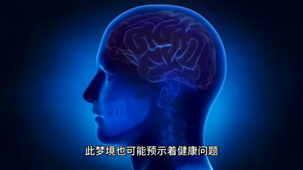 梦见一群狗咬人了是什么意思啊周公解梦女人(2)