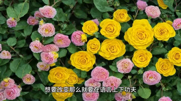 孕晚期梦到很多鸡蛋什么意思周公解梦(2)