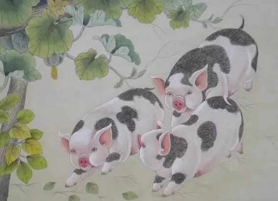 71年正月二十九出生的猪2023运势怎么样(2)