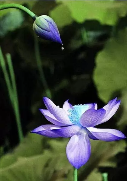怎么看自己的生辰八字日干强不强(4)