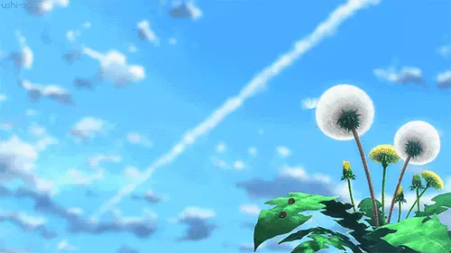 立秋出太阳好还是不出太阳好(5)