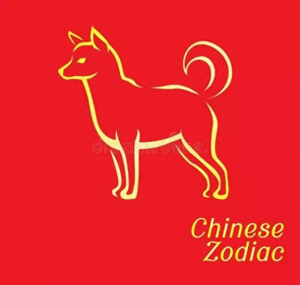 1982属什么生肖 今年多大了2023(1)