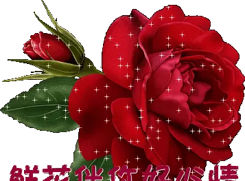 2020年六月初九出生的女孩命运怎么样(2)