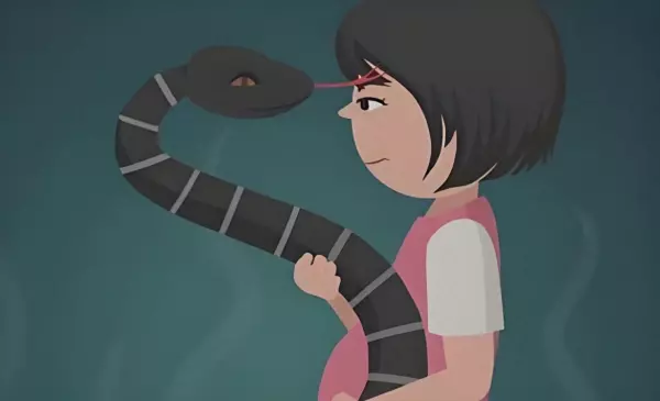 怀孕初期梦见小黑蛇是什么预兆周公解梦女人(1)