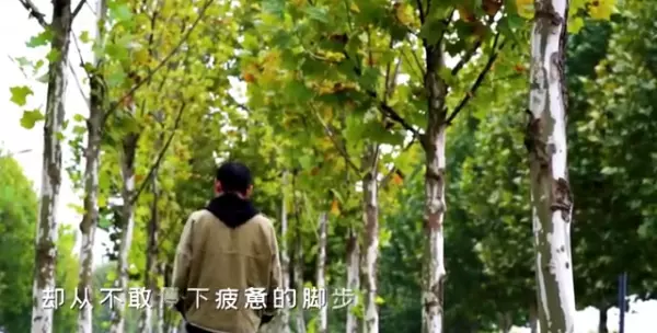 不相信命运却屈服于现实下一句是啥意思(1)