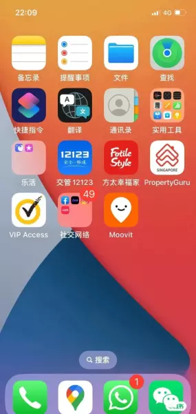 马来西亚签证可以入境新加坡吗(6)