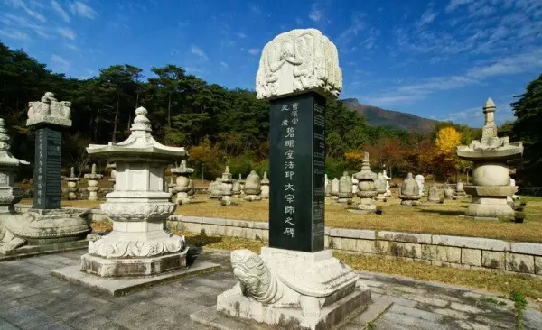 孔庙乌龟驮着石碑是什么意思(5)