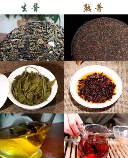 普洱茶的普洱是什么意思(11)