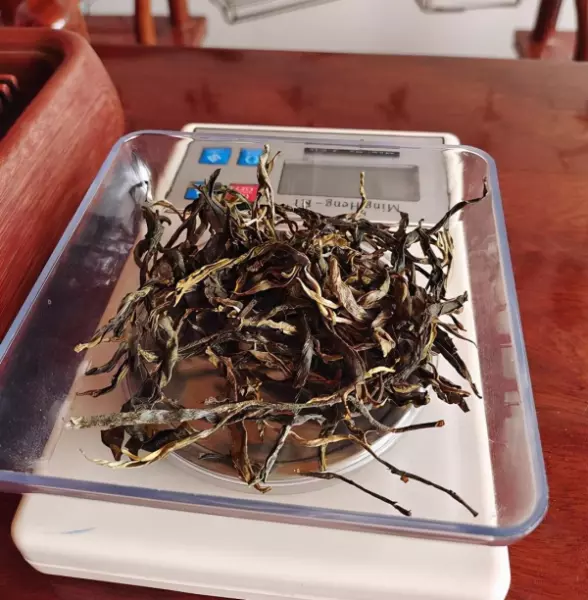 普洱茶的普洱是什么意思(7)