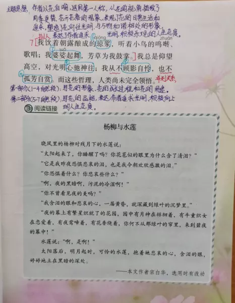 花之歌什么揭示了花凋零的命运的哲理(3)