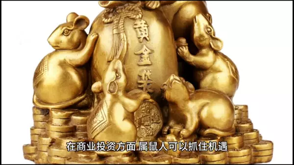 84年的鼠今年下半年的运势怎样呢(2)