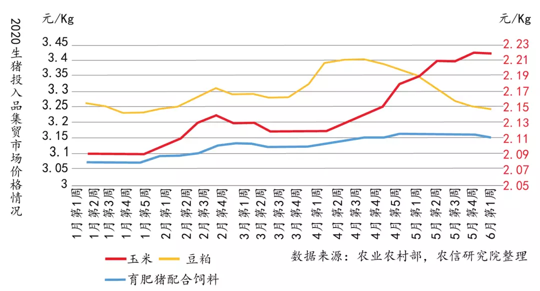 2023年11月21日全国生猪价格(2)