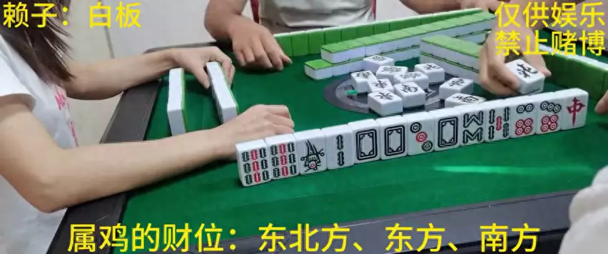 属猪人2019年运势及财位在哪(1)