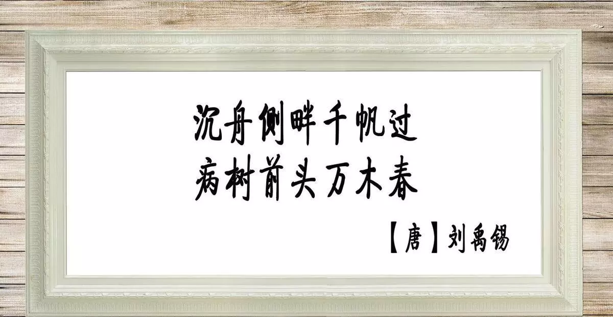 肯定自己不向命运屈服的人叫什么名字(1)
