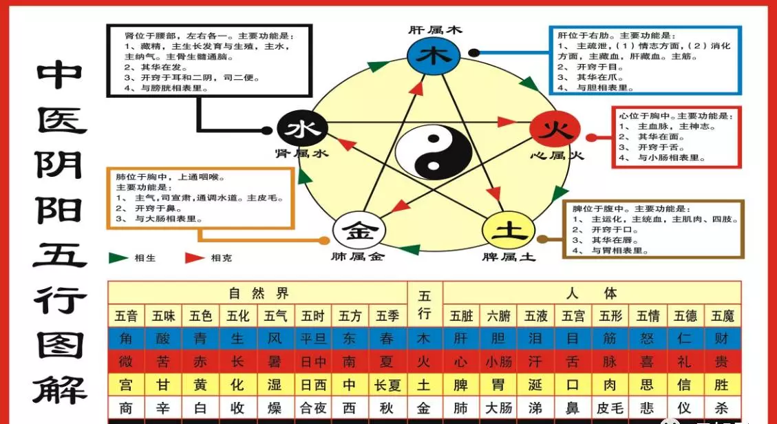 舒馨这个词是什么意思(3)