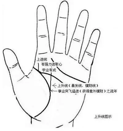 女生左手大拇指有横纹代表什么命运图解(5)