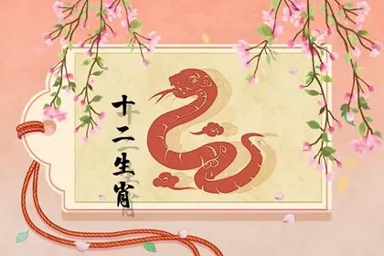 梦见哥哥重新娶媳妇什么意思周公解梦(2)