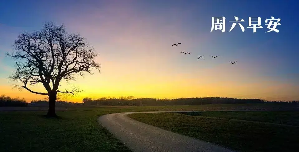 2020年1月11日农历是什么日子(1)