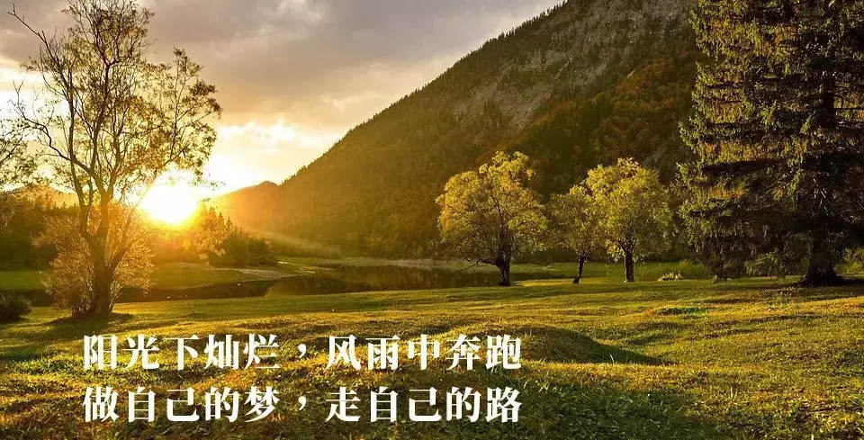 2020年1月11日农历是什么日子(2)