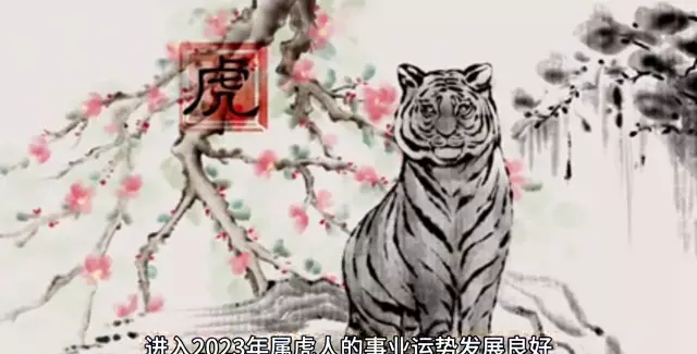 1986年的虎男在2023年的运势怎么样(3)