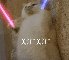 周公解梦梦到和狗睡觉是什么意思啊(10)