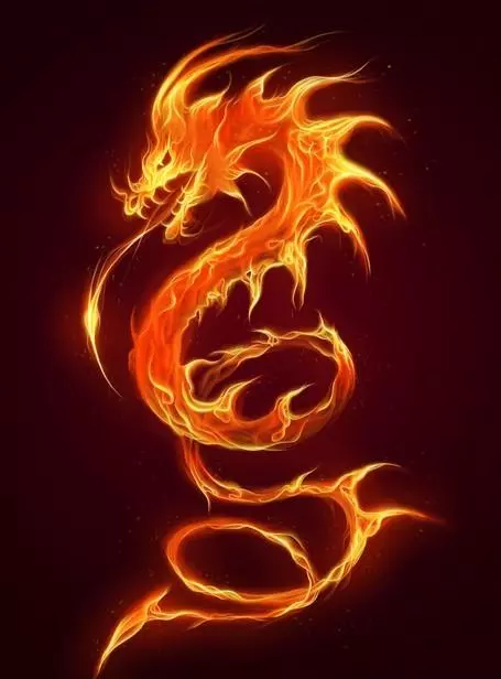 阴历2000年1月25日出生的人命运怎么样(6)