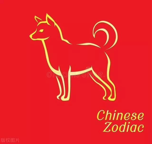1982年属狗2023年下半年运势(4)