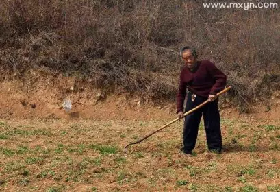 梦见和爸爸妈妈挖地什么意思周公解梦(1)