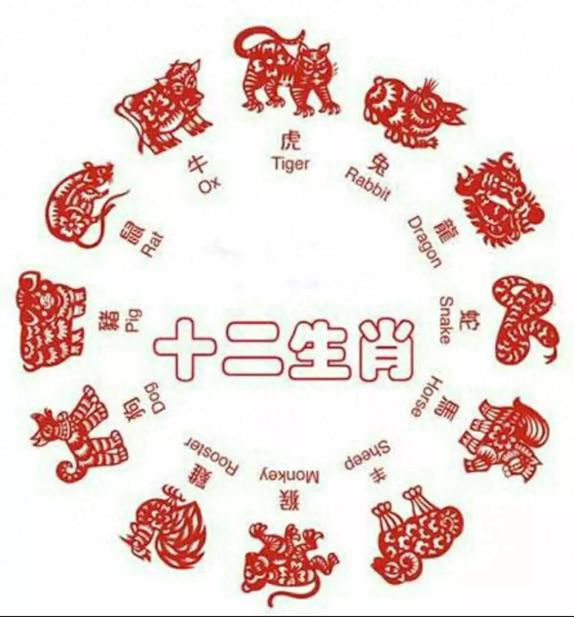 70年2月11日出生的男孩命运怎么样(1)