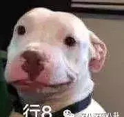汤珈铖姻缘被斩了吗(17)
