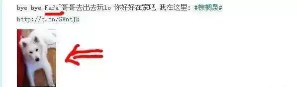 汤珈铖姻缘被斩了吗(89)