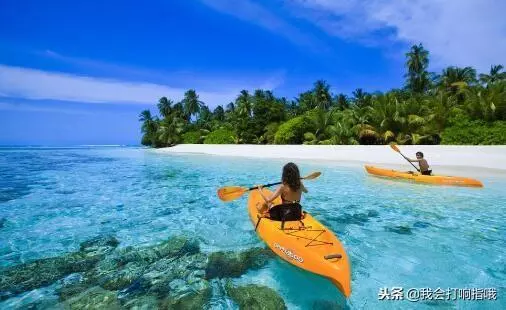 梦见养仙鹤代表什么预兆周公解梦女人(2)
