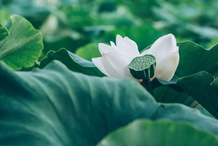 命运掌握在自己的手里意思是什么呢(1)