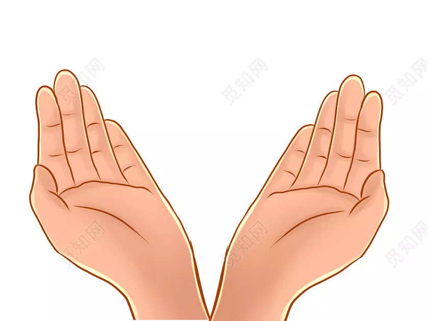 右手是哪只手左手是哪只手(1)