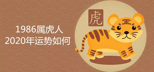 今年牛年属虎的运势怎么样2021(3)