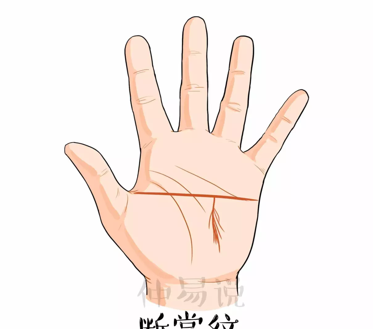 双手断掌的男孩长大后的命运怎么样呢(1)