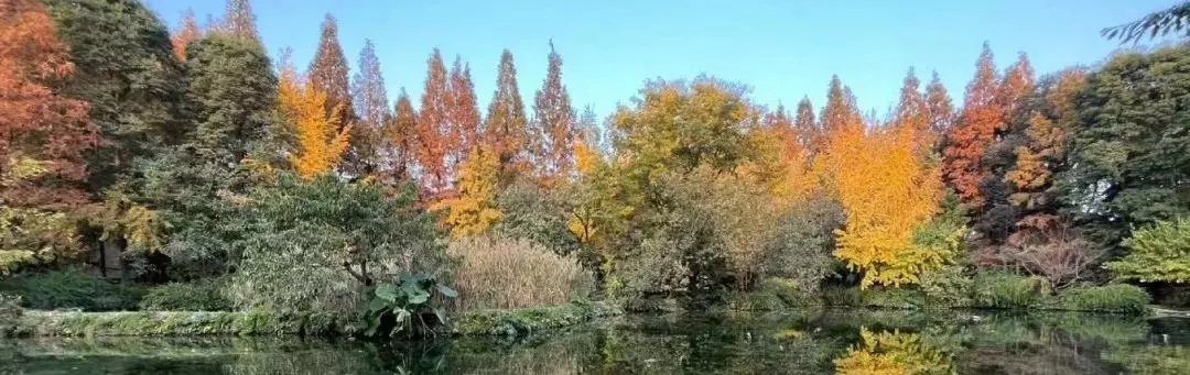 早霞随类影,寒水各依痕什么意思(2)