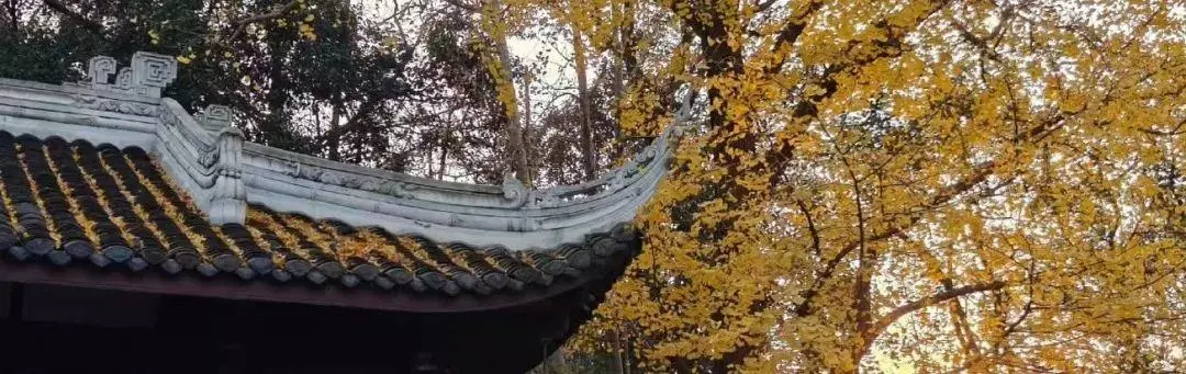 早霞随类影,寒水各依痕什么意思(3)
