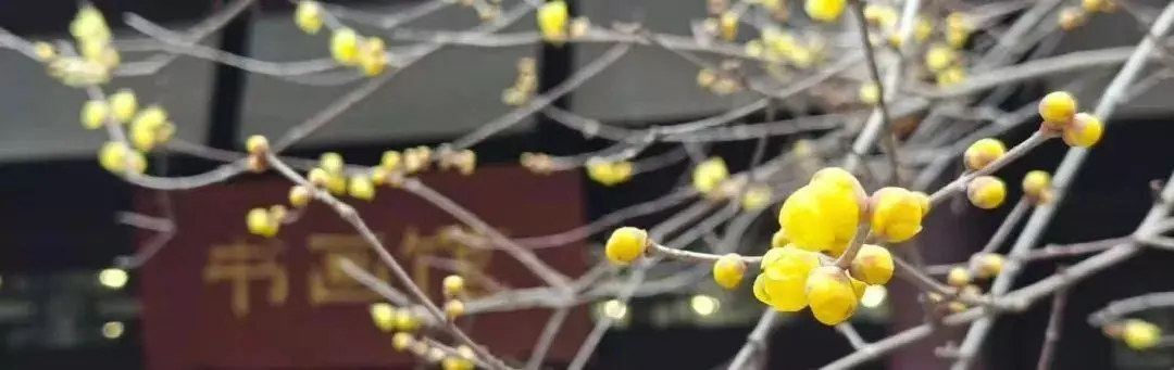 早霞随类影,寒水各依痕什么意思(4)