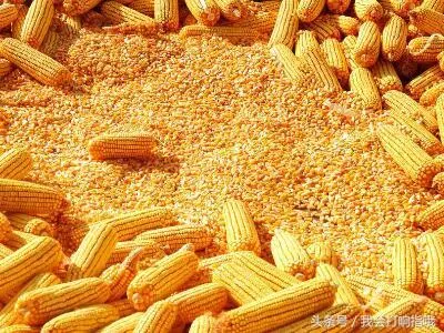 梦见吃香甜可口的白米饭周公解梦是啥意思呀(3)
