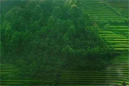 周公解梦梦见老公的妹妹要赶我走是啥意思呀(11)