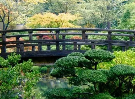 周公解梦梦见老公的妹妹要赶我走是啥意思呀(12)