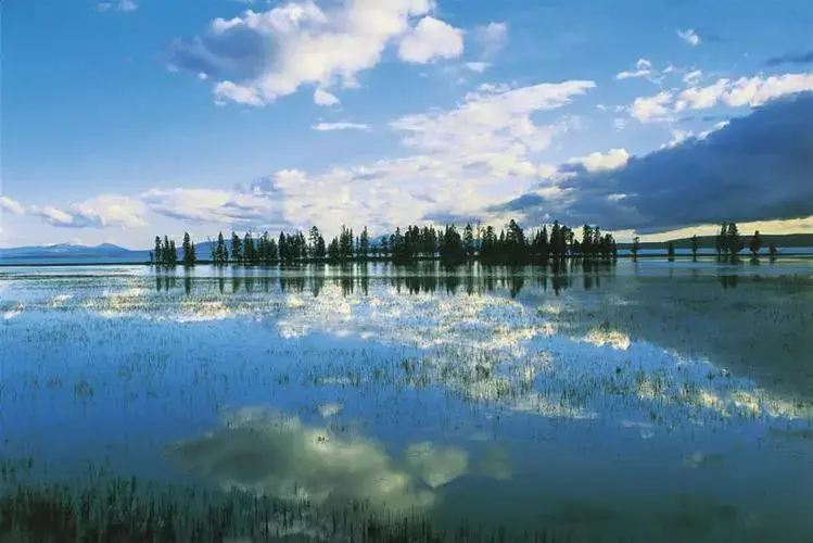 周公解梦梦见老公的妹妹要赶我走是啥意思呀(18)