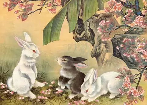 用心细推才有钱指什么生肖(1)