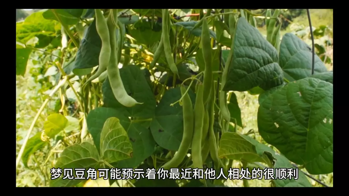 梦到红枣米饭什么意思啊周公解梦女人(3)