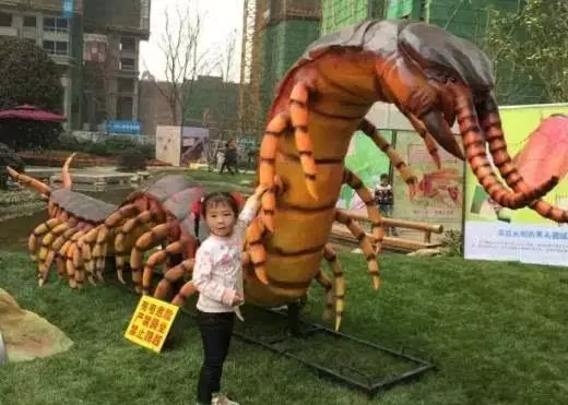 梦见自己找蜈蚣是什么预兆周公解梦女人(1)