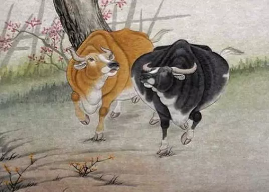 2021年农历3月初四牛宝宝命运如何呢(1)