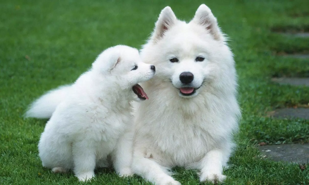 1970年生的人2022年运势怎么样(3)