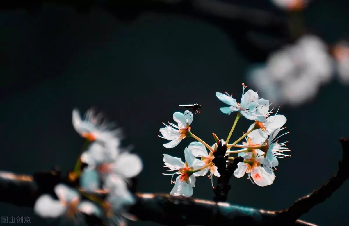 学会接受命运才能改变命运的名言有哪些(1)