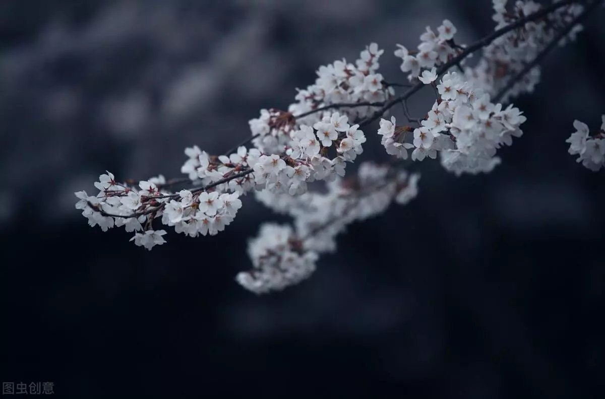 学会接受命运才能改变命运的名言有哪些(3)